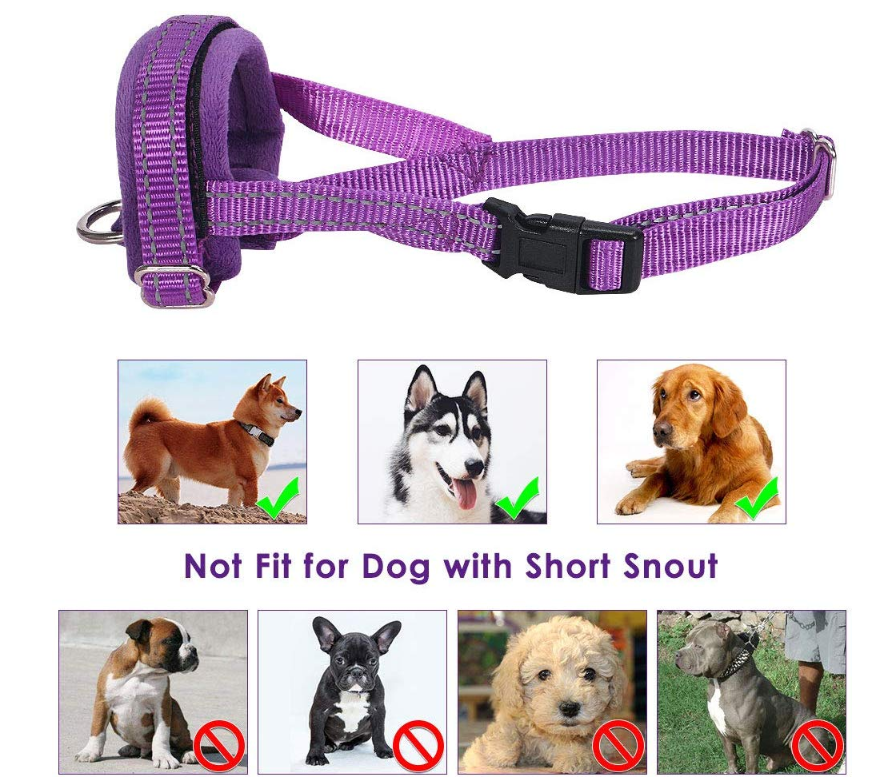 Dog muzzles for Medium Large Dog