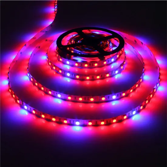 12V SMD 5050 LED Strip Grow Lights for Indoor Hydroponic Greenhouses