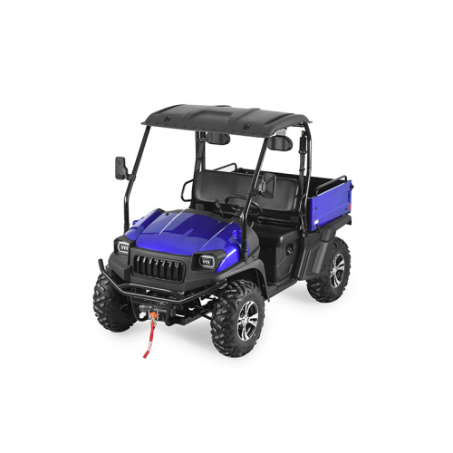 UTV EFI Side by Side with EPA