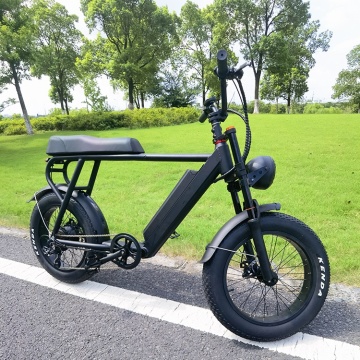 Eu/US Wholesale Cafe Racer EBIKE 48V 750W ΤΥΠΟΣ ΤΥΛΙΚΟΣ ΠΟΛΙΤΙΣΜΟΣ ΜΕ ΛΑΚΕΣ ΛΙΤΟΥΣ από την Κίνα