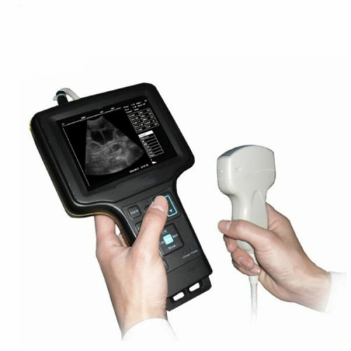 Veterinary Portable Ultrasound Machine Scanner