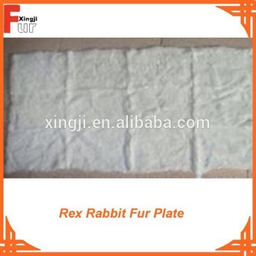 Grade A Natural Rex Rabbit Plate