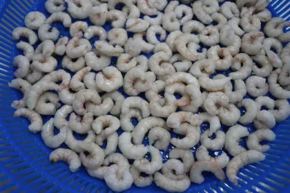 Frozen Cooked Red Shrimp Red Prawn Export