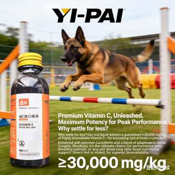 Suplemento para fragilidade óssea de animais de estimação