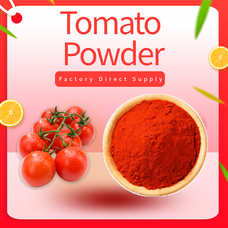 Best Dried Tomato Powder Competitive Price