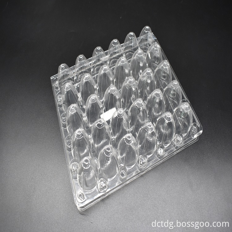 Disposable Plastic Quail Egg Tray With 30 Holes, 고품질