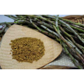 Dendrobium Officinale Extract