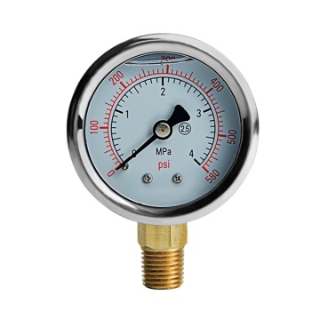 Waterproof IP65 bottom connection Shockproof pressure gauges