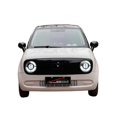 ORA Black Cat 301 Edition All-electric vehicle