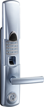 Stainless Steel Fingerprint Door Lock (UDBL-905)