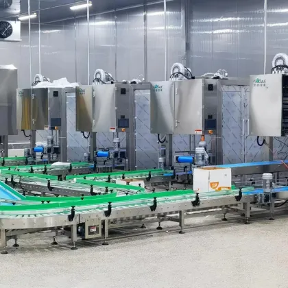 Affordable Top Quality Robotic Packaging Equipment: Delta and Parallel Robots on Sale