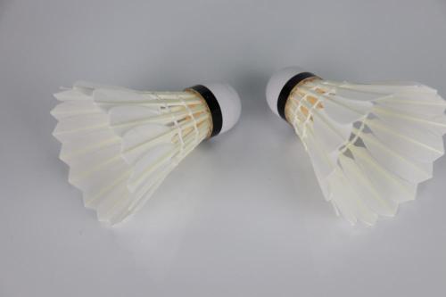 Φτηνές OEM Cigu Duck Feather Badminton Shuttlecocks