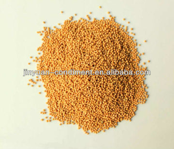 Dried Yellow Mustard Seeds