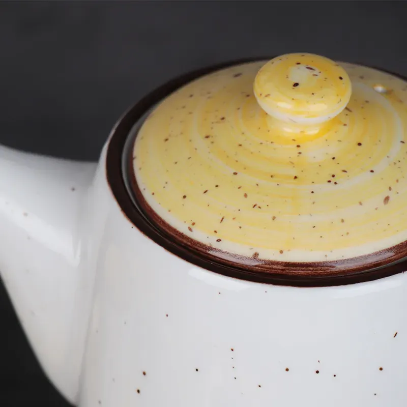 Fashion Ceramic Teapot Set with Tea Cup and Saucer