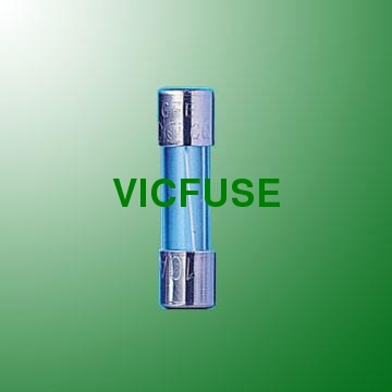 Fast Acting Glass Tube Fuse