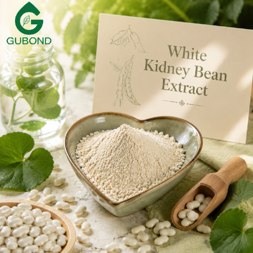 Ingrediente bloqueador de almidón con extracto de frijol blanco