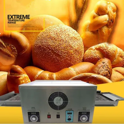 Electric Pizza Oven Adoption in Germany