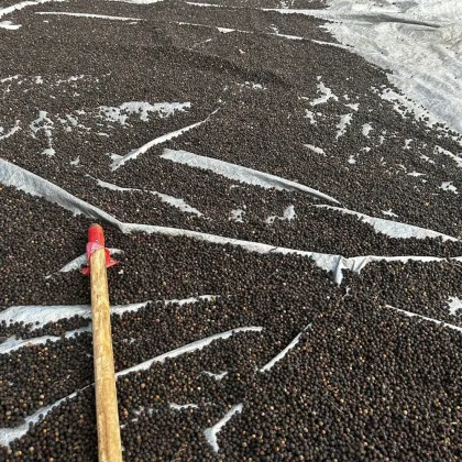 WIRA black pepper sauce. Wira black pepper sauce