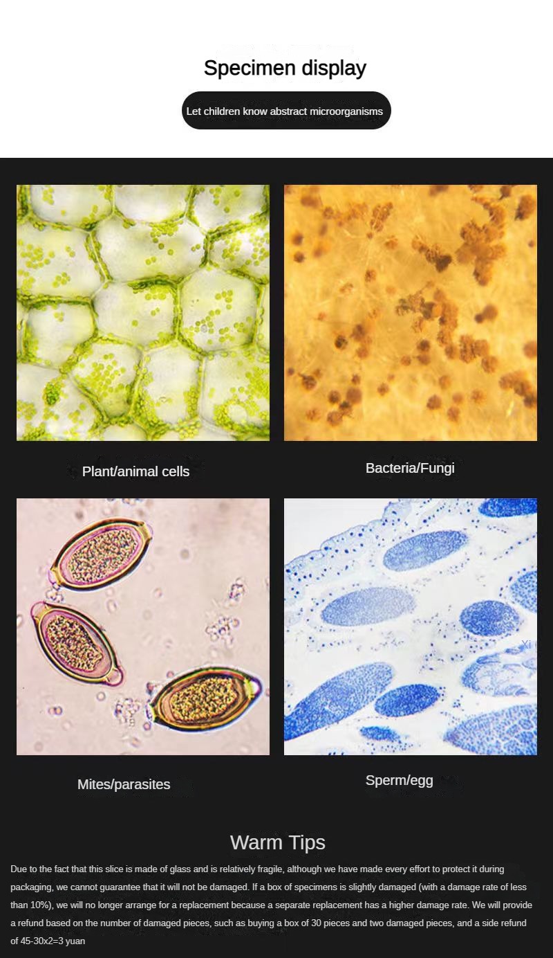 Specimen Structure 100 Types Of Tissue Structure Specimens For Microscopic Observation ...
