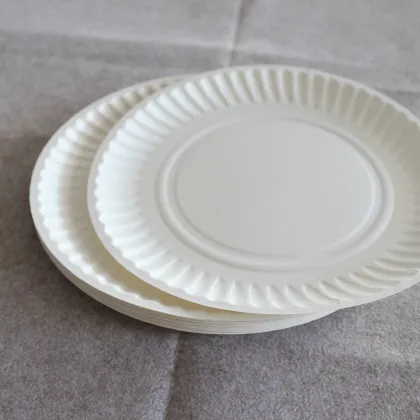 Biodegradable Disposable Paper Plates & Tableware