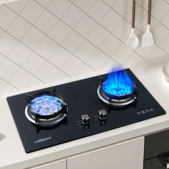 Eco-Friendly Built-in Double Glass Ignition Biogas Stove Burner