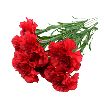 Customizable Linwoo 40CM Silk Flower Stem - Mother's Day Carnation Gift