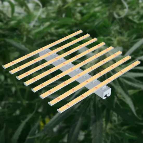 1000W Led Grow Light Seed Starting Kit