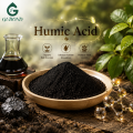 Polvo de ingrediente de nutrición vegetal de ácido húmico natural