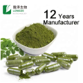 Food Grade Moringa Powder Herbal Extract Capsules with Vitamin Active Ingredient Green Pollen and Grass Supplement in a Bottle
