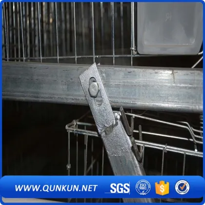 2017 chicken house designed for chicken cage