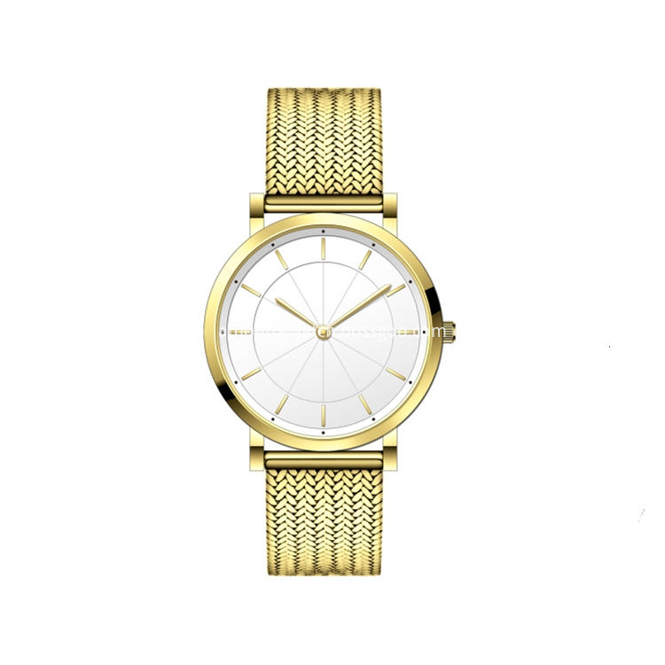 Gold Steel Couple Watch