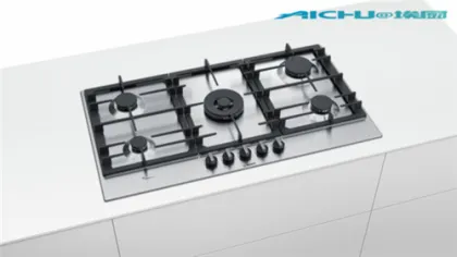 Bosch Lpg Stainless Steel Cast Iron GasStove