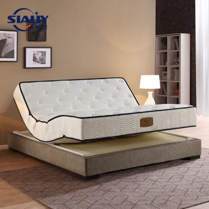 Future Premium Electric Adjustable Mattress
