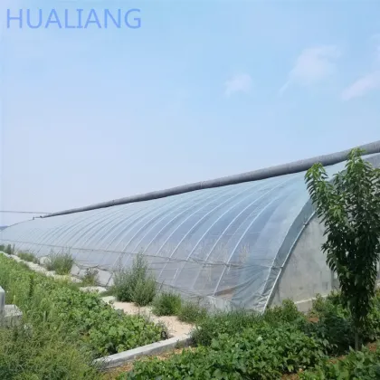 Passive Solar Greenhouse with Soil/Earth/Brick Walls for Cold Winter Agriculture in Canada