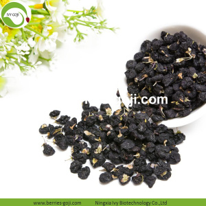 Koop Nutrition Natural Black Dried Wolfberry