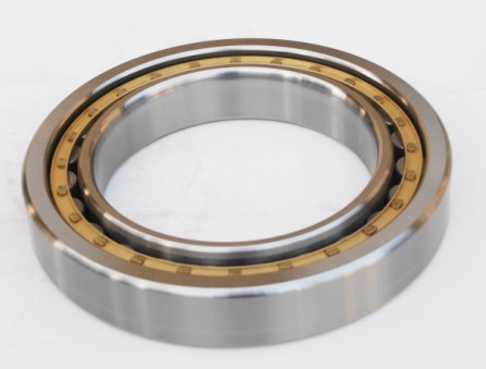 Cylindrical Roller Bearing (NU1036EM)