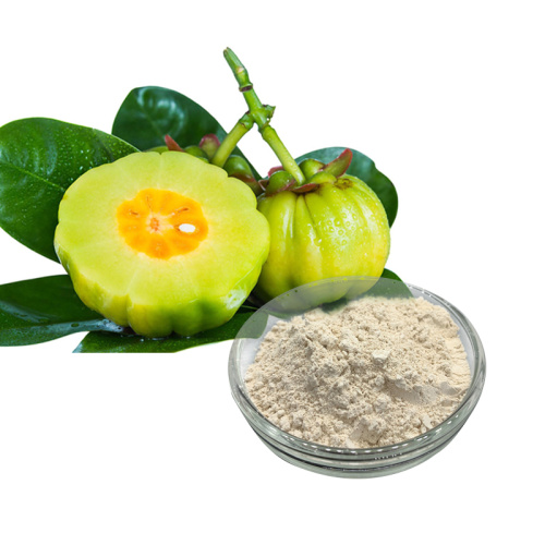 Natural Garcinia cambogia extract powder