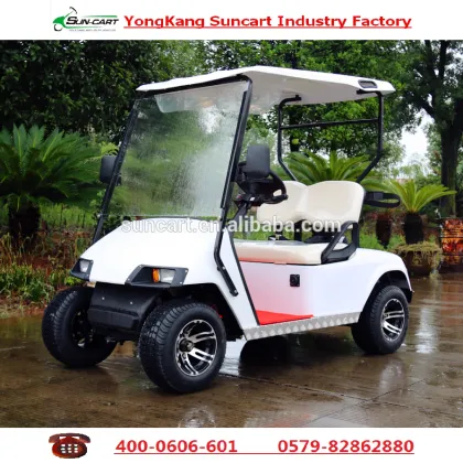 Colorful 2 Seater Golf Cart,Golf Cart ,Electric golf cart for sale, Hotel electric golf cart ,Mini electric golf cart