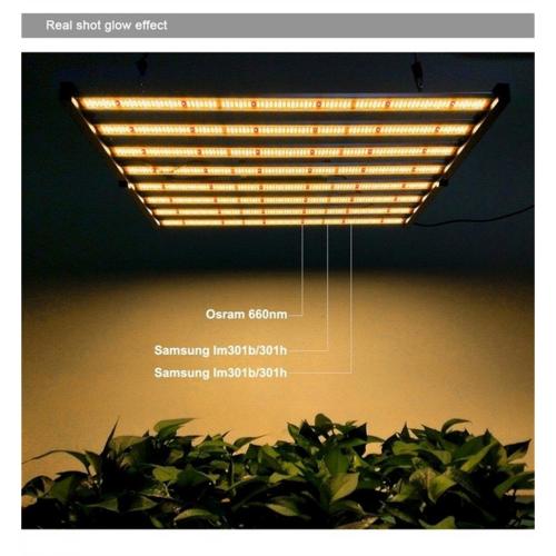 600w High Power Led Grow Light untuk Rumah Kaca