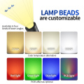 LED Garden Spike Light Professional LED világítás exportőr