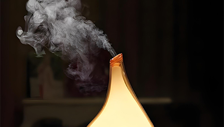 Humidifier Atomizer Plate