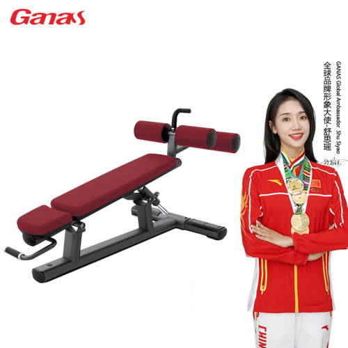 Fitness Equipment Gym Use Bench Adjustable Web Board