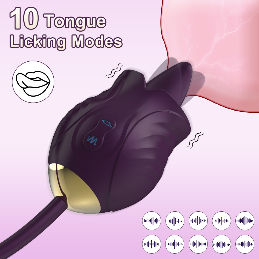 Female Internal and External Vibration Toy