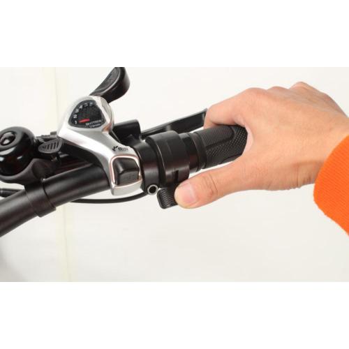 Mountain Road One Seat Electric Fat Bicyle