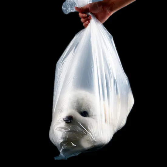 Wholesale Modern Style Large Capacity Household Clear PE Plastic Bags with Square Bottom