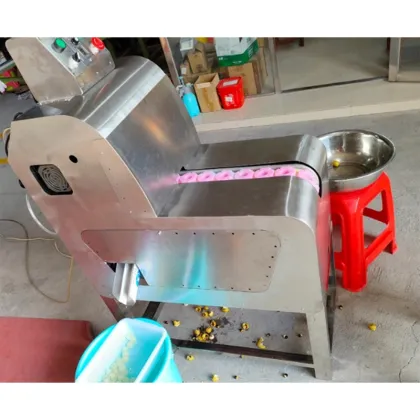 Automatic Longan Fruit Peeling and Shelling Machine
