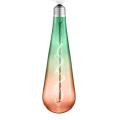 Customizable Gradient Color LED Bulbs