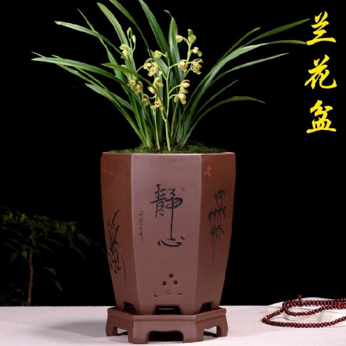 Purple Clay Orchid Pot Breathable Plant Flower Pot