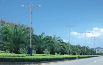 Double Head Road Lighting