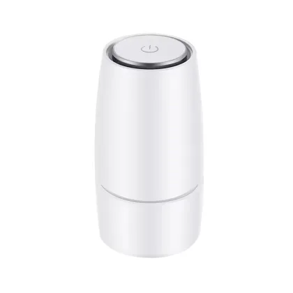 2024 New mini fashion Clean Air car anion air purifier